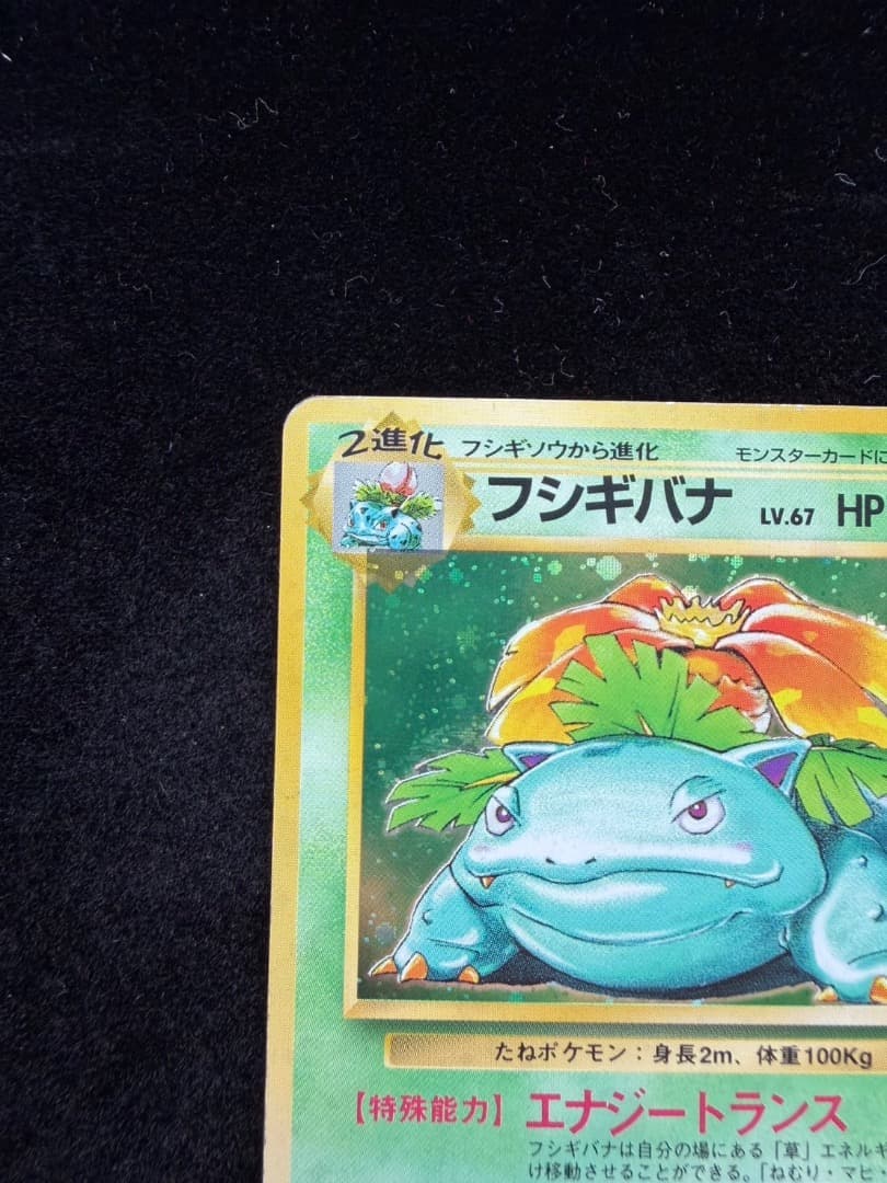 【PR】ポケモンカード 旧裏1997 フシギバナ　Venusaur No003
