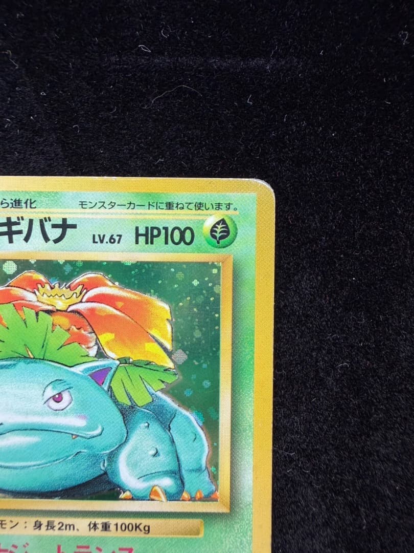 【PR】ポケモンカード 旧裏1997 フシギバナ　Venusaur No003