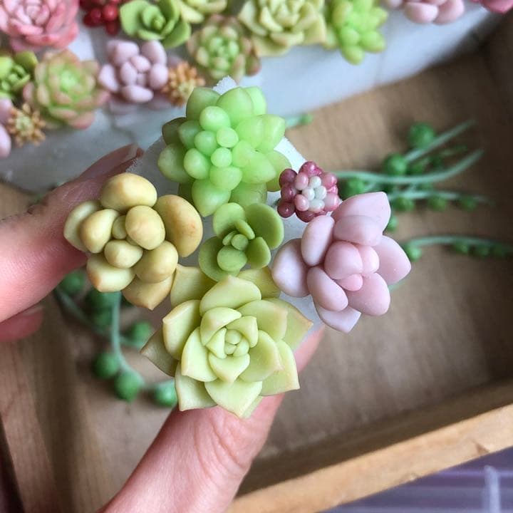 フェイク　多肉植物