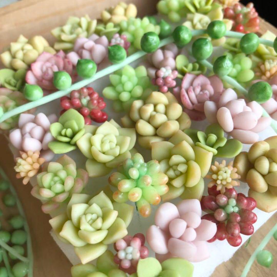 フェイク　多肉植物