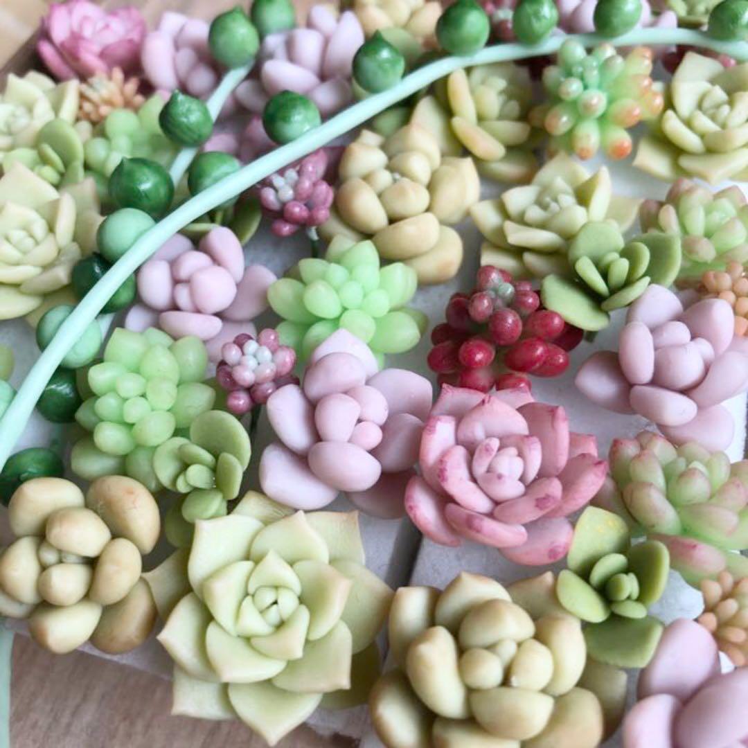 フェイク　多肉植物