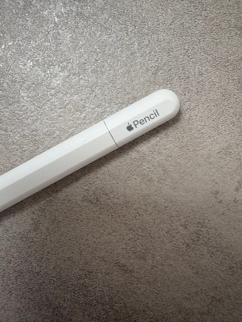 Apple Pencil（USB-C） 本体（外箱あり）