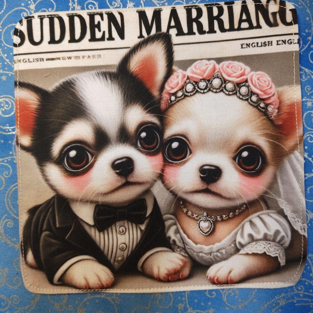 ★CHIYO★　はんかちワンコさん&ネコちゃん柄　20枚