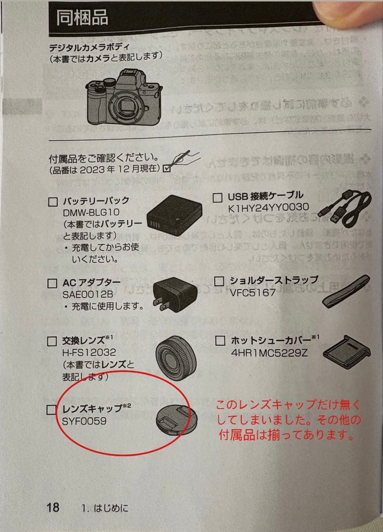 2025年7月購入 保証書付きパナソニック lumix DC-G100DK-K