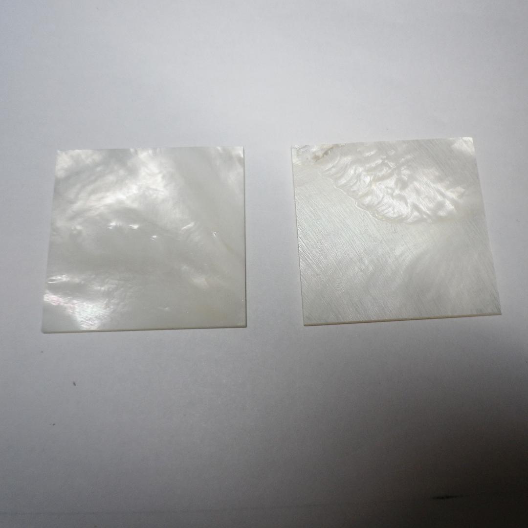 【新品】白蝶貝／パール貝 板材 (A)