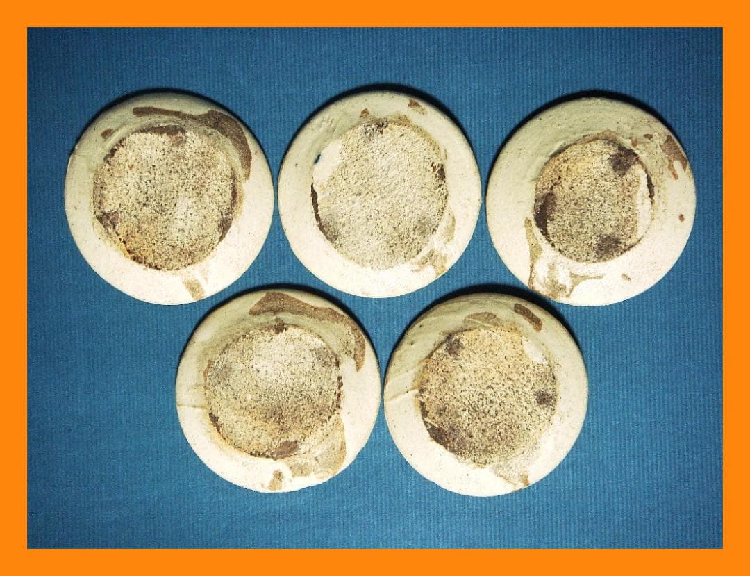 916『染付 兎 豆皿 手塩皿 5枚』　/骨董品 古美術 アンティーク 古玩