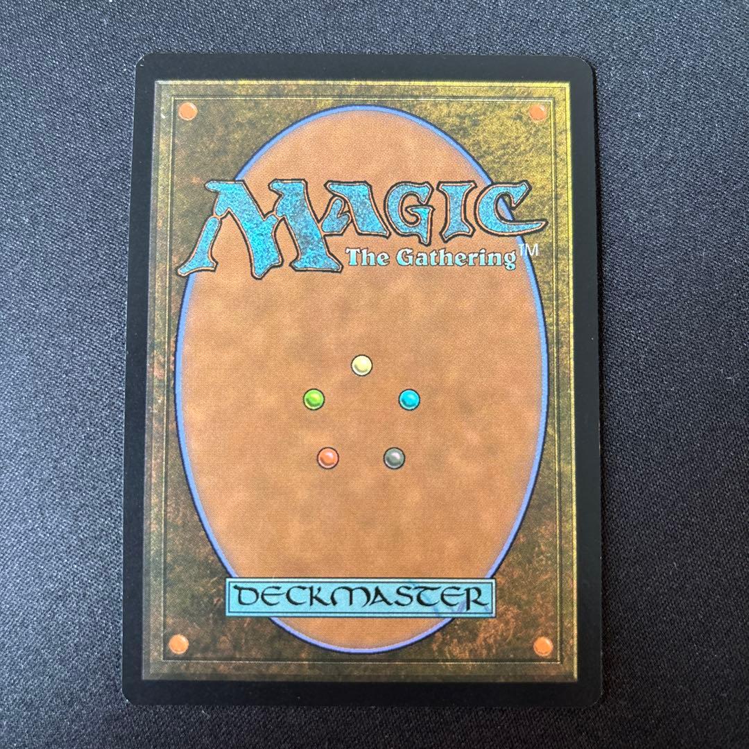 MTG 溢れかえる岸辺 Flooded Strand 日本語 foil