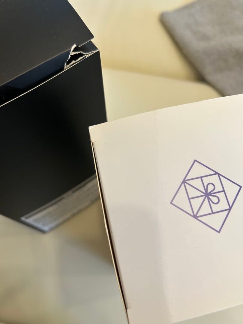 NiziU ペンライト　ペンライトケース、電池付き