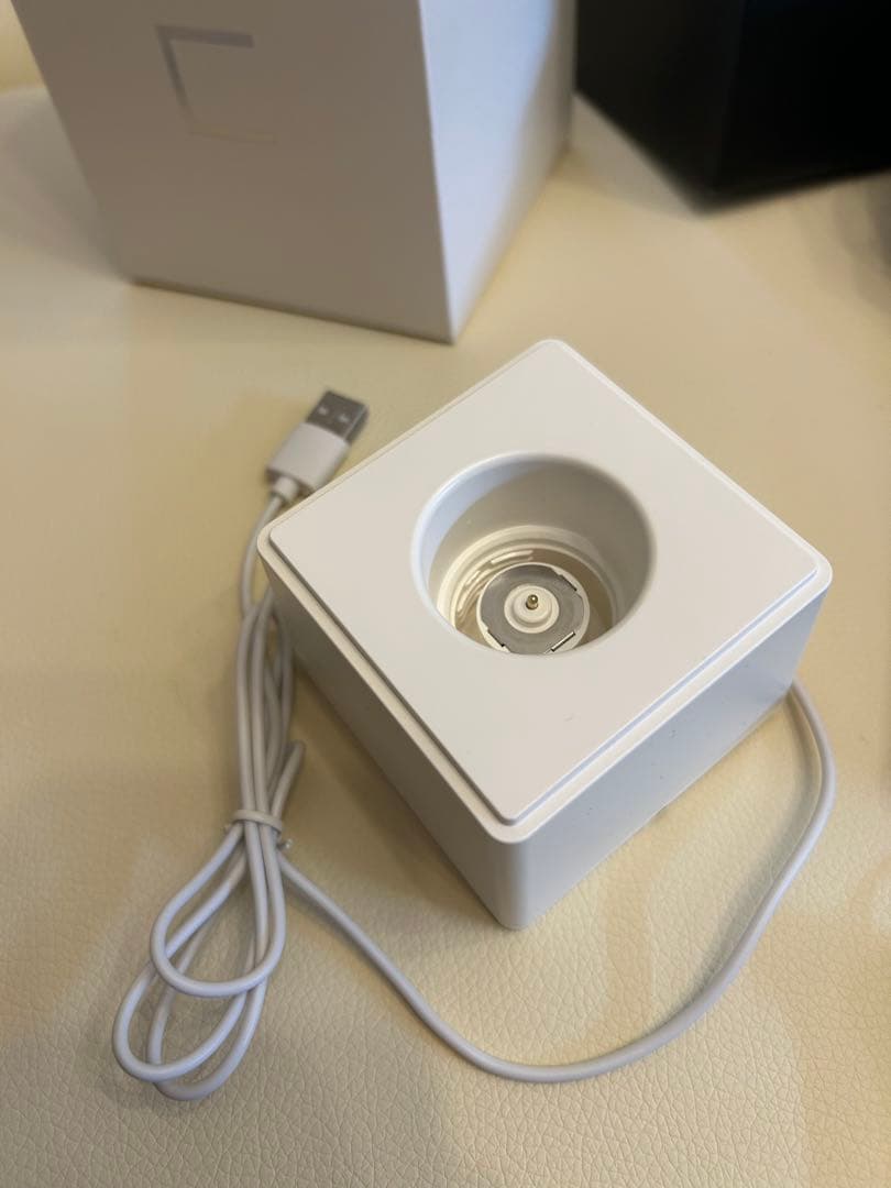 NiziU ペンライト　ペンライトケース、電池付き