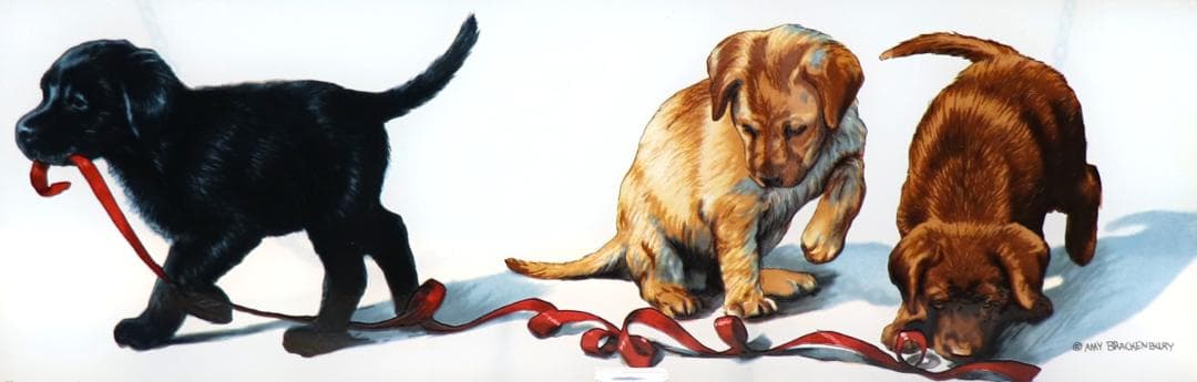 エイミー・ブラッケンベリー 赤いテープの子犬たち ヴィンテージステンドグラス