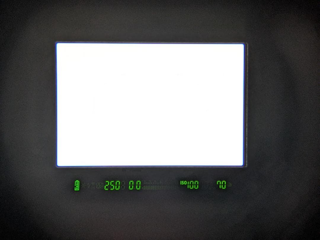 ショット数1410 美品 Canon EOS 7D + レンズ #198