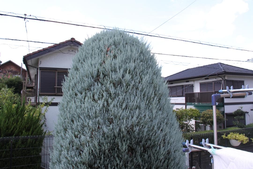 ショット数1410 美品 Canon EOS 7D + レンズ #198