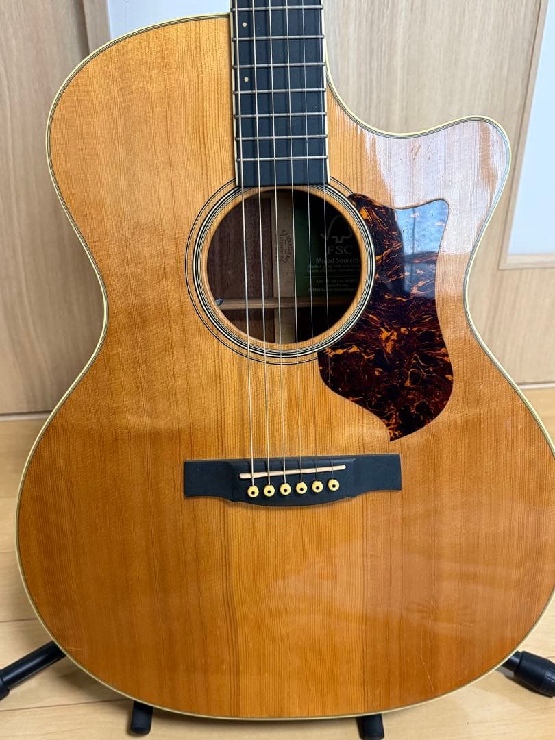 【希少品】Martin エレアコ gpcpa2 mahogany