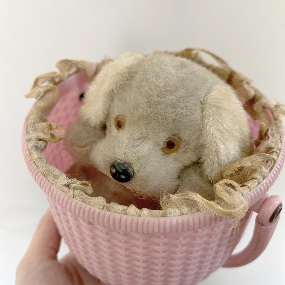 アンティーク　いぬ　犬　ぬいぐるみ　バスケット　ヨーロッパ　ヴィンテージ