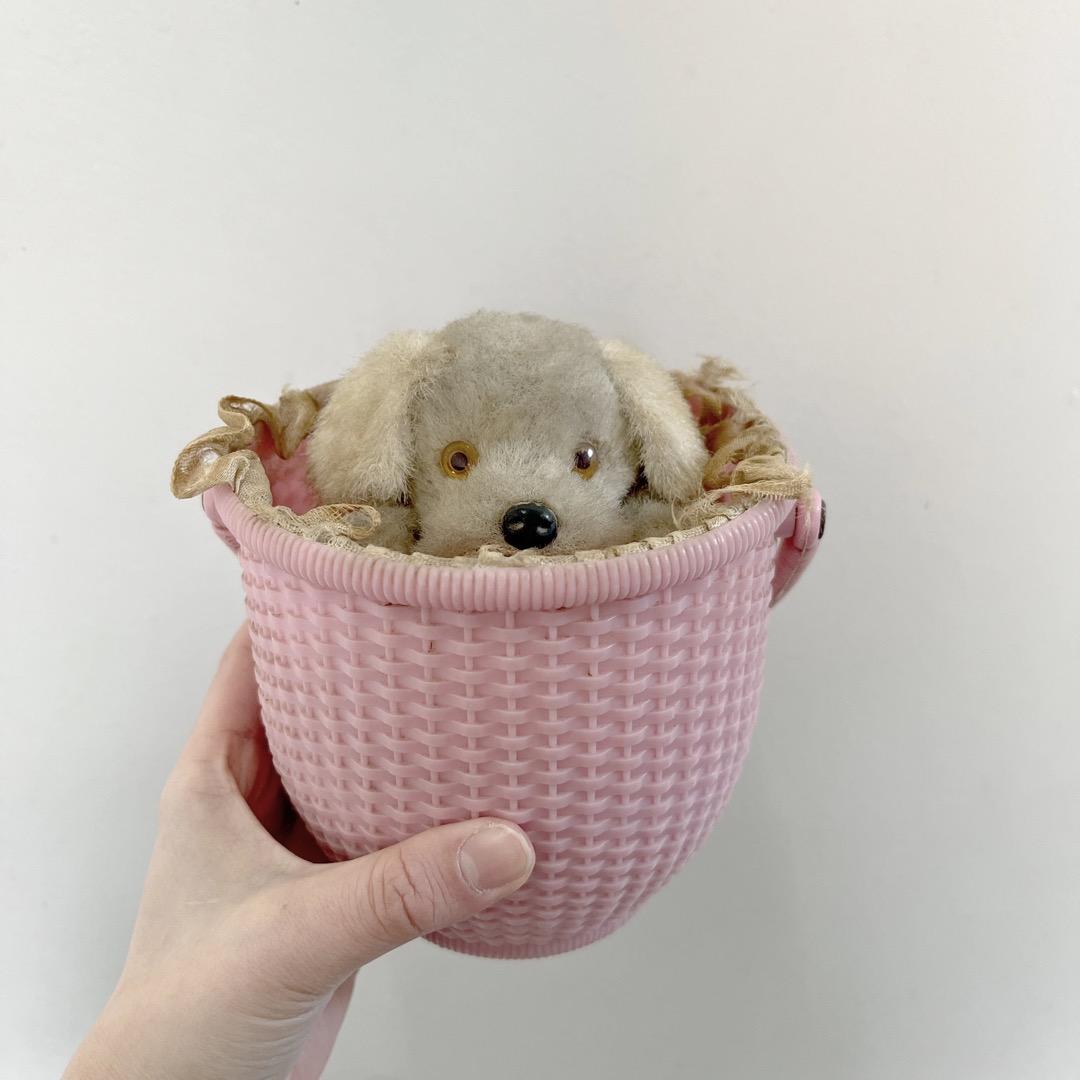 アンティーク　いぬ　犬　ぬいぐるみ　バスケット　ヨーロッパ　ヴィンテージ