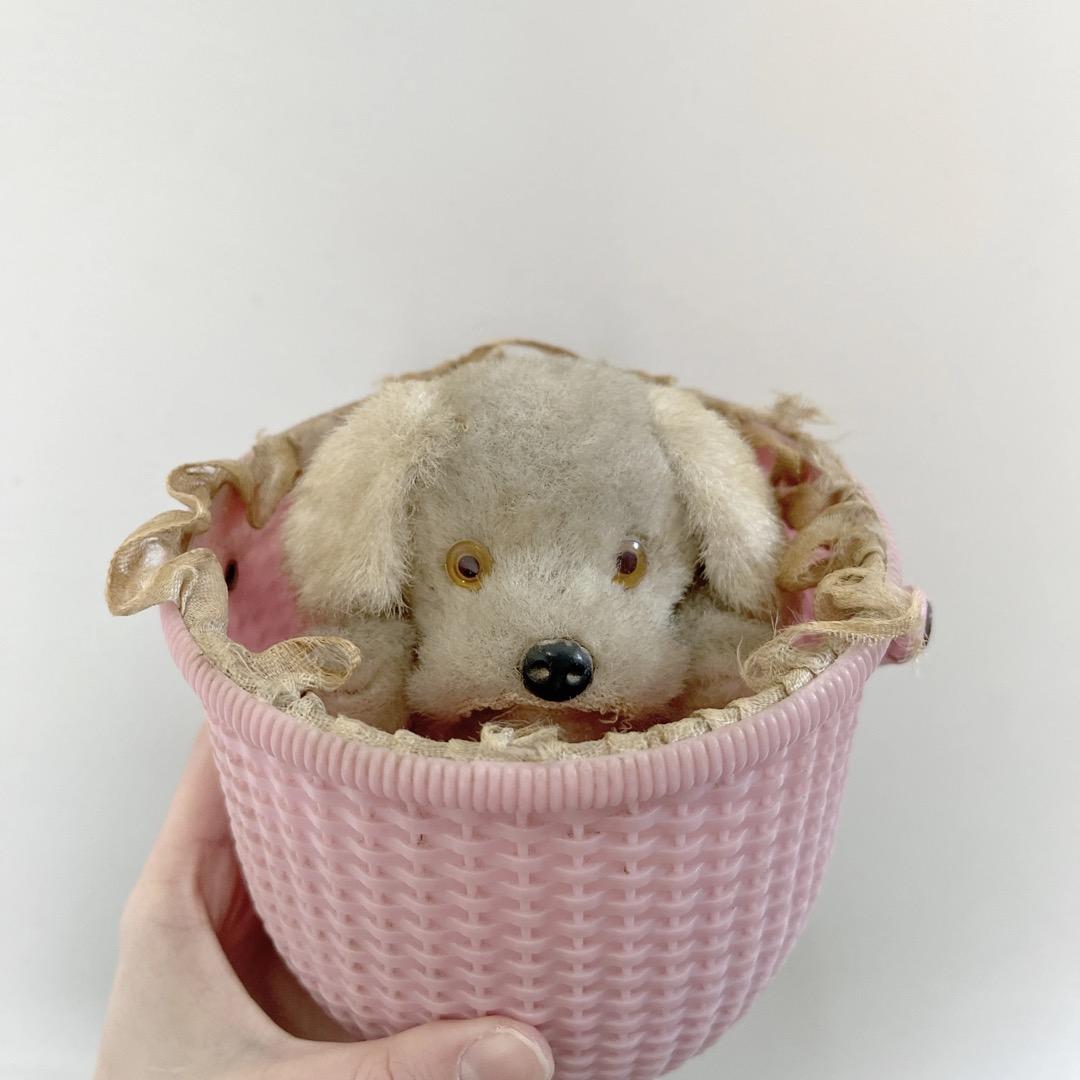 アンティーク　いぬ　犬　ぬいぐるみ　バスケット　ヨーロッパ　ヴィンテージ