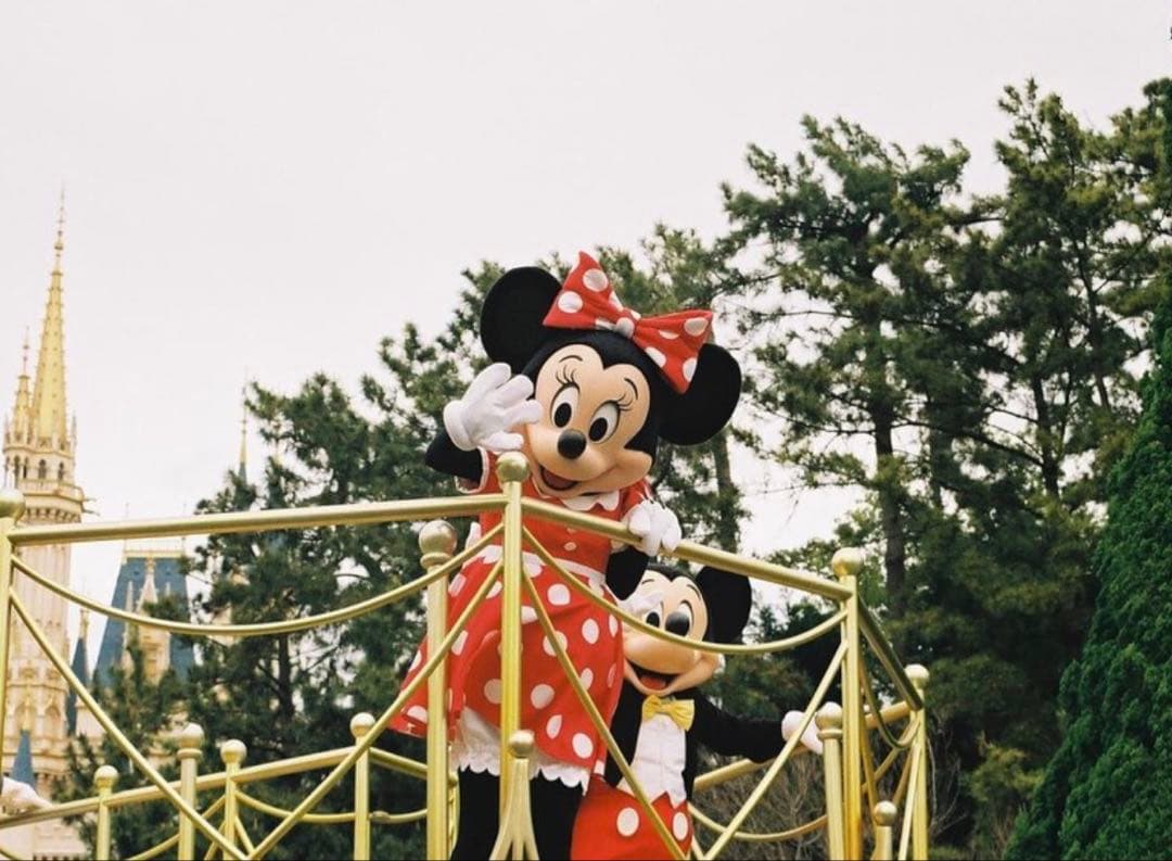 Nikon N80フィルムAF NIKKOR 35-70mm