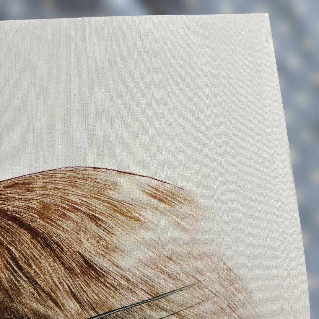 キャンディ❤︎キャンディ　なかよし付録　7点 セット　希少　昭和レトロ