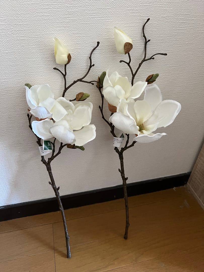 マグノリア　木蓮　１０本セット