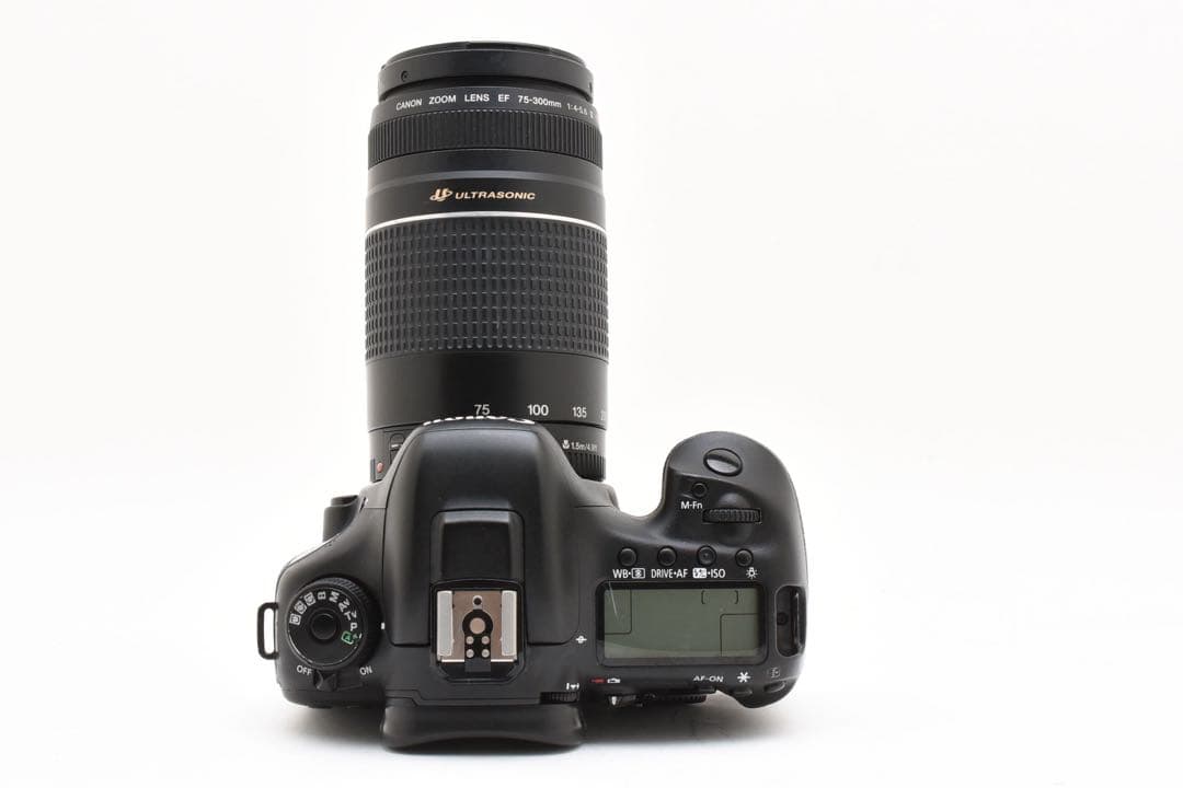 Canon EOS 7D MarkⅡ望遠レンズセットCanon 75-300mm