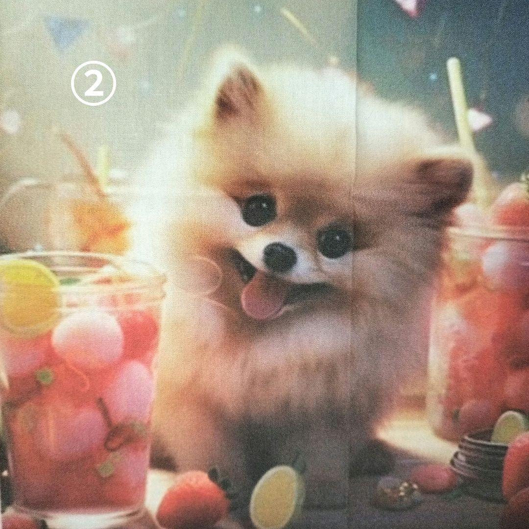 ♡ポメちゃん、プードルちゃんオーダーページ✨