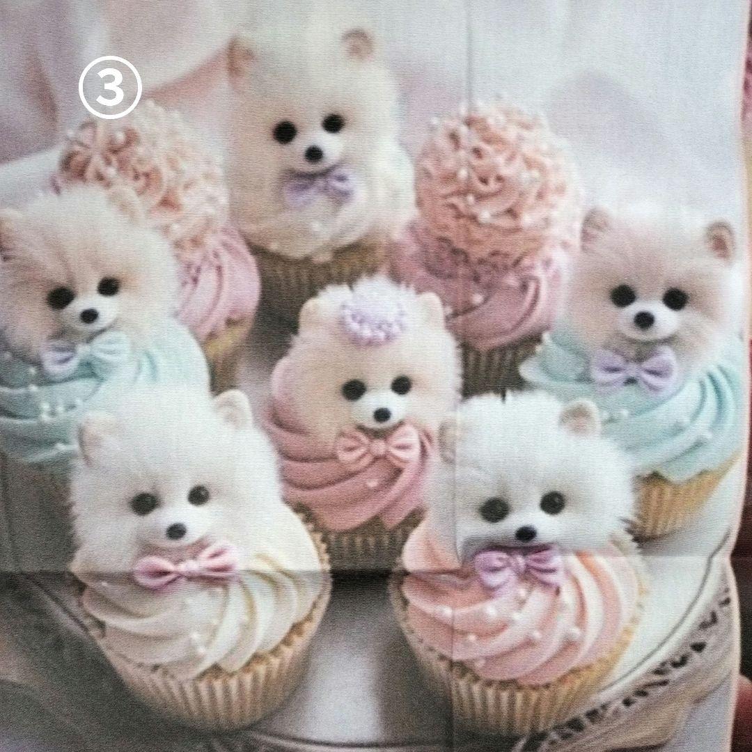 ♡ポメちゃん、プードルちゃんオーダーページ✨