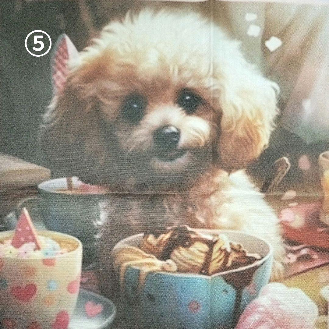 ♡ポメちゃん、プードルちゃんオーダーページ✨