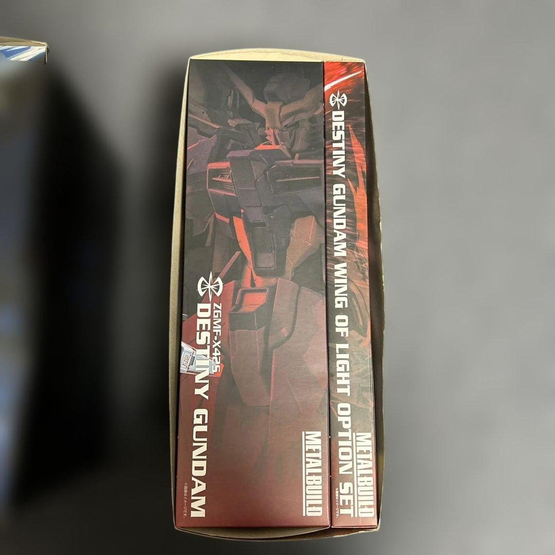 新品未開封　L BUILD ストフリ　デスティニー