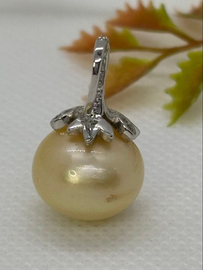 白蝶(シロチョウ)南洋真珠　 薄いゴールド　ペンダントトップ　新品（N554）