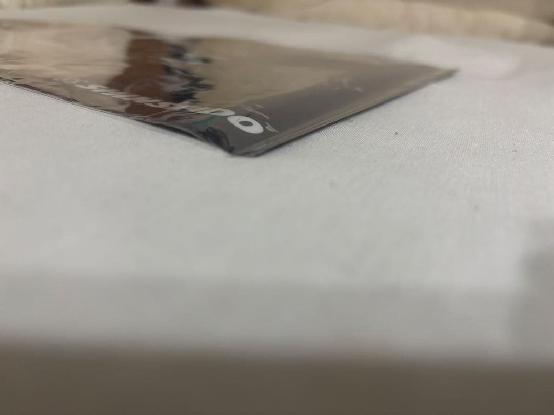 CDJ 2025 Chevonサイン入りクリアファイル