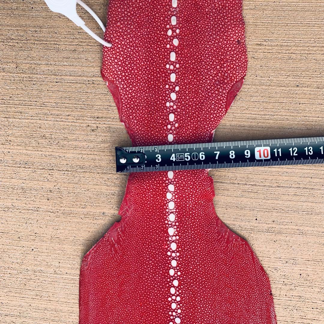 29 AA 連石 ローストーン エイ革 鮫革 スティングレイ スティングレー