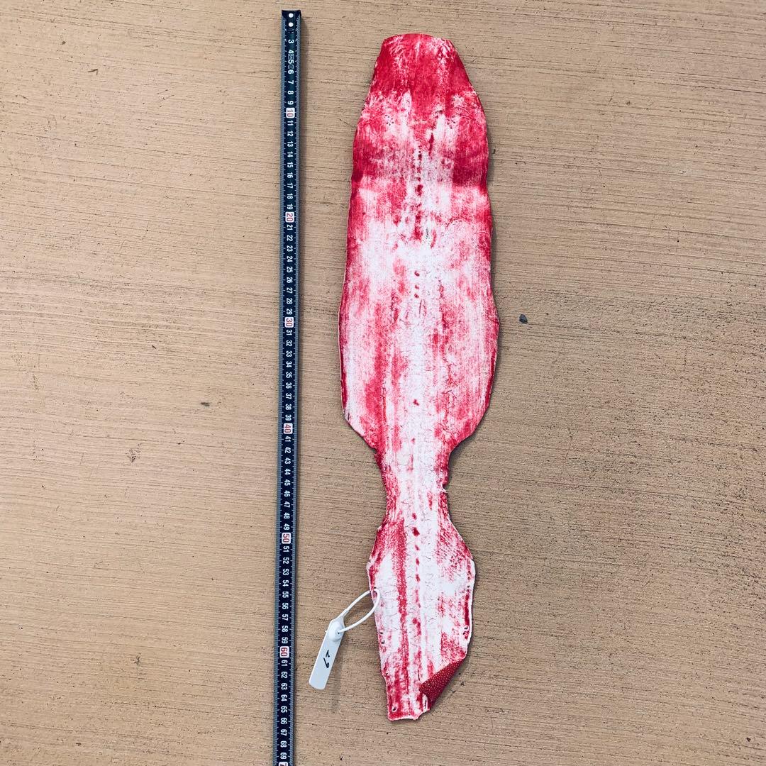 29 AA 連石 ローストーン エイ革 鮫革 スティングレイ スティングレー