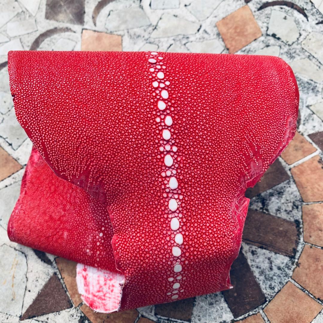 29 AA 連石 ローストーン エイ革 鮫革 スティングレイ スティングレー