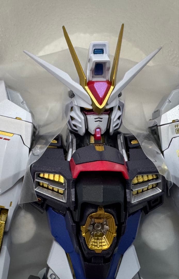 かわの　ストライクフリーダムガンダム メタルビルド 2024