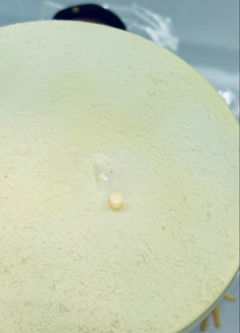 浅見リリス　白水着Ver.～「トリニティセブン」 ワンダーフェスティバル2015