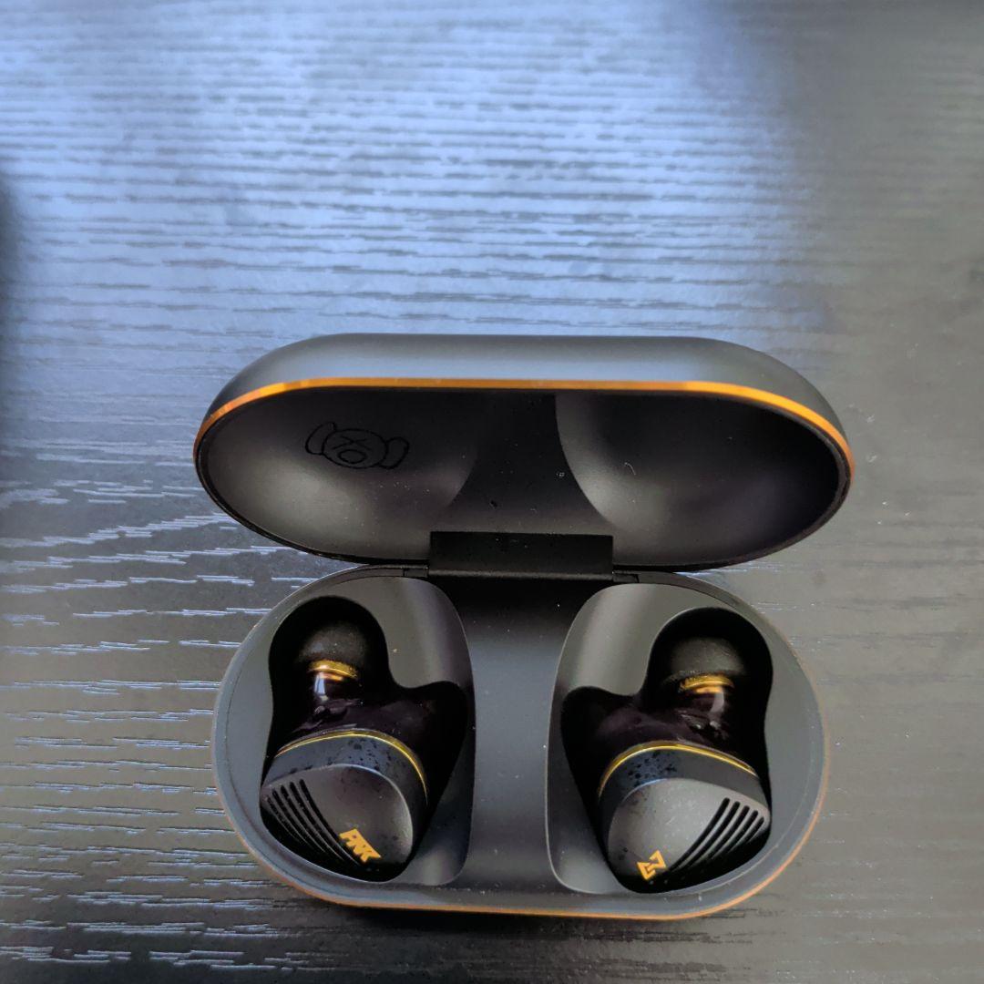 【中野ピエール】AVIOT TE-Z1PNK 【ブラック】