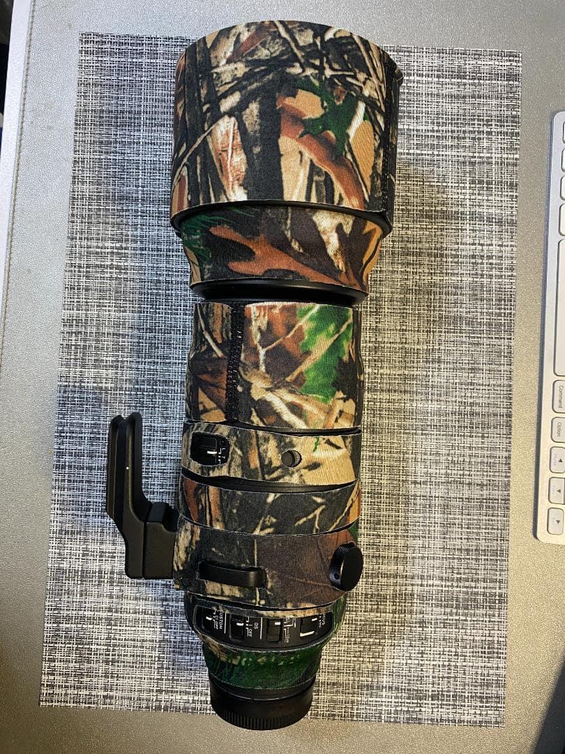 SIGMA 150-600mm SONY eマウント おまけ