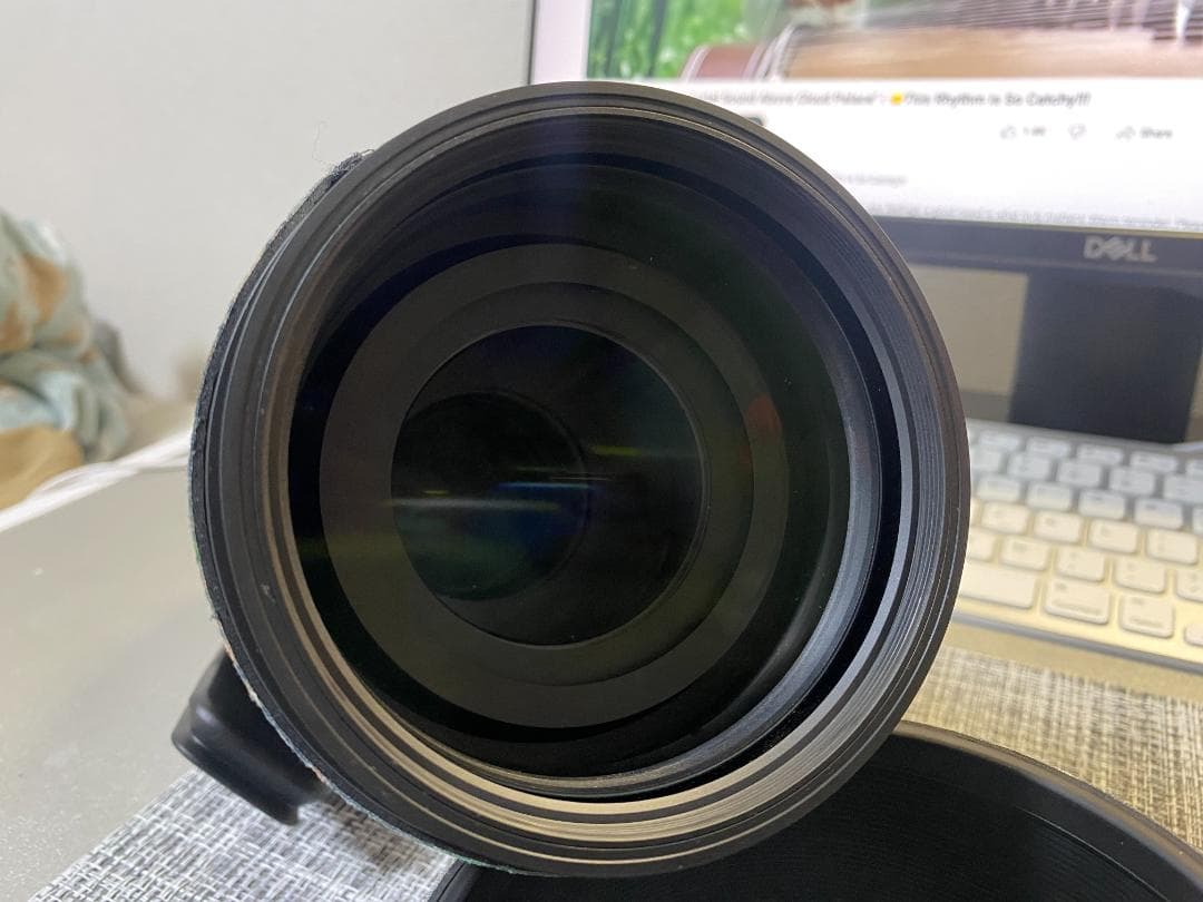 SIGMA 150-600mm SONY eマウント おまけ