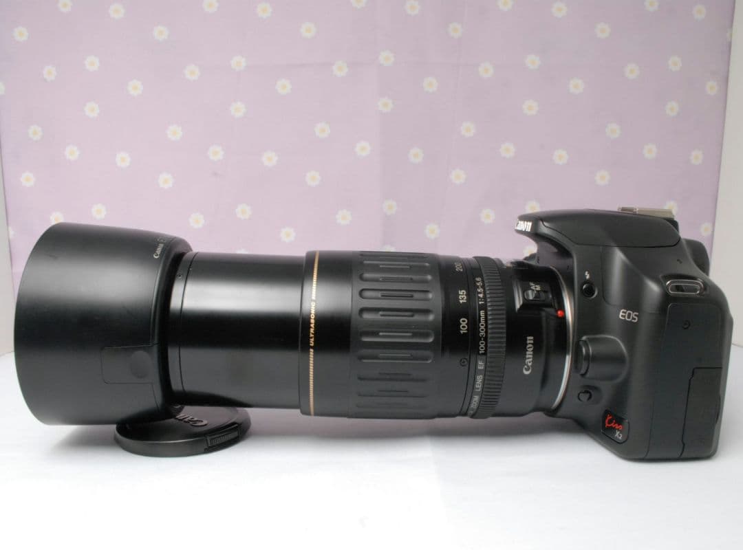 Canon EOS Kiss X2⭐️ダブルレンズセット⭐️デジタル一眼