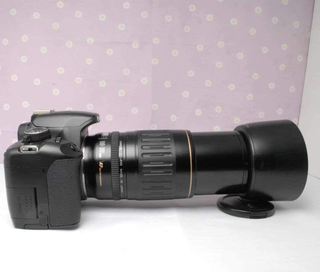 Canon EOS Kiss X2⭐️ダブルレンズセット⭐️デジタル一眼