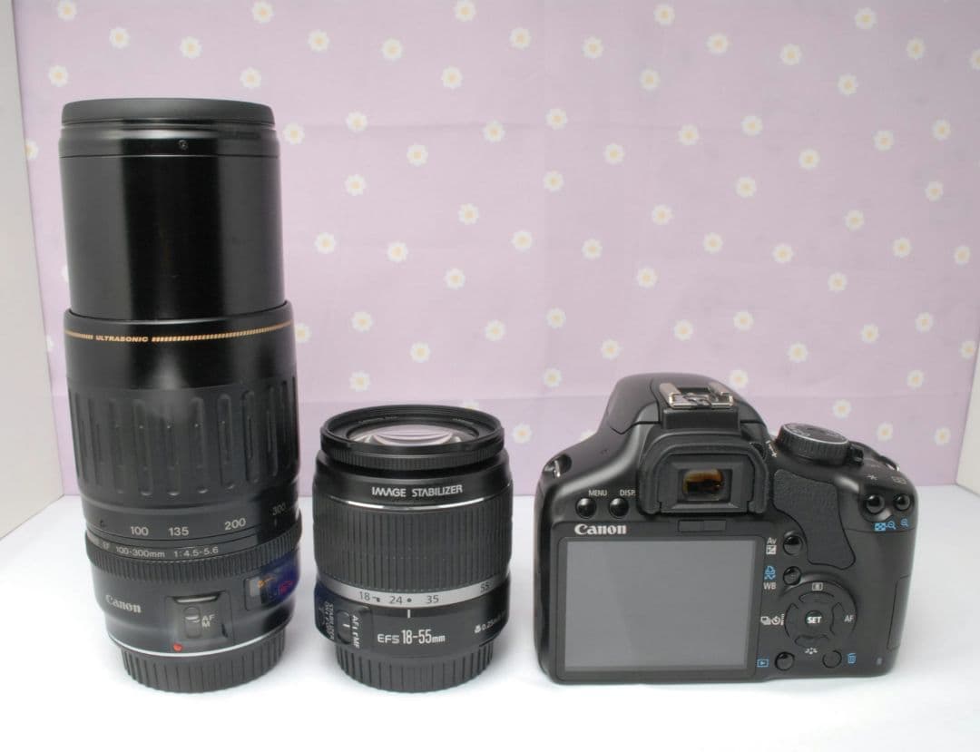 Canon EOS Kiss X2⭐️ダブルレンズセット⭐️デジタル一眼