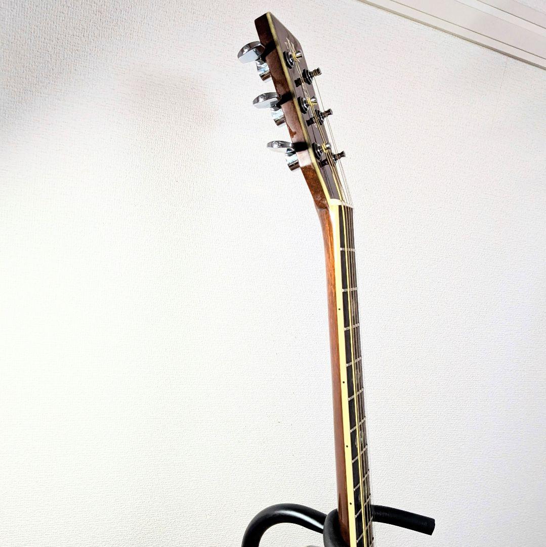 極美品　Morris モーリス TF-W50　人気のサンバースト　ハカランダ