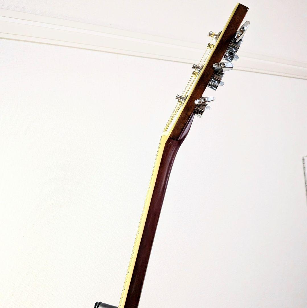 極美品　Morris モーリス TF-W50　人気のサンバースト　ハカランダ