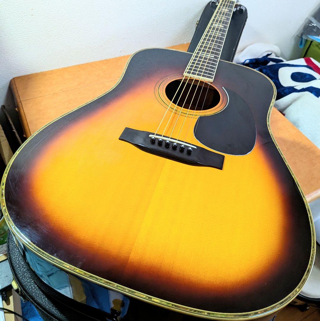 極美品　Morris モーリス TF-W50　人気のサンバースト　ハカランダ