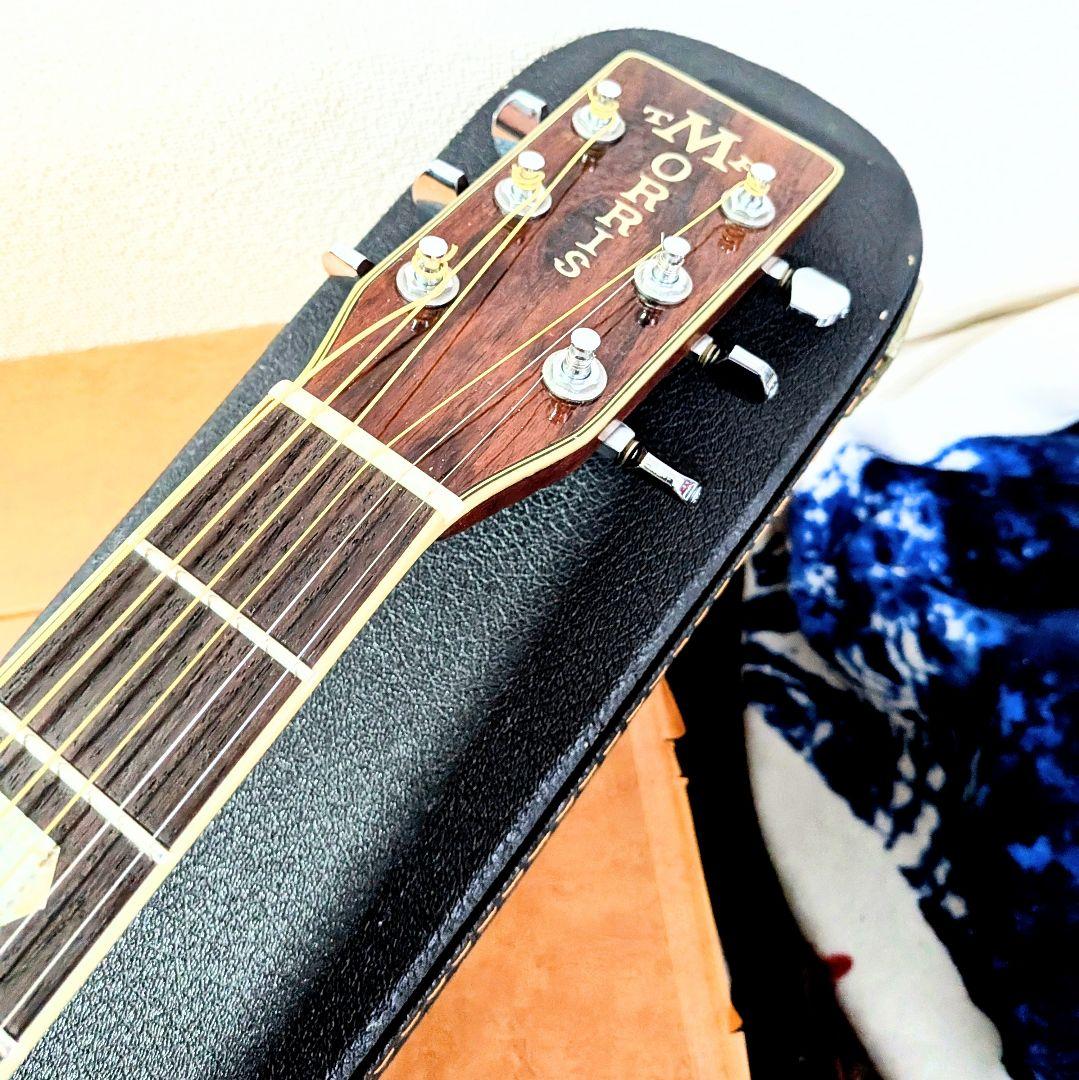 極美品　Morris モーリス TF-W50　人気のサンバースト　ハカランダ