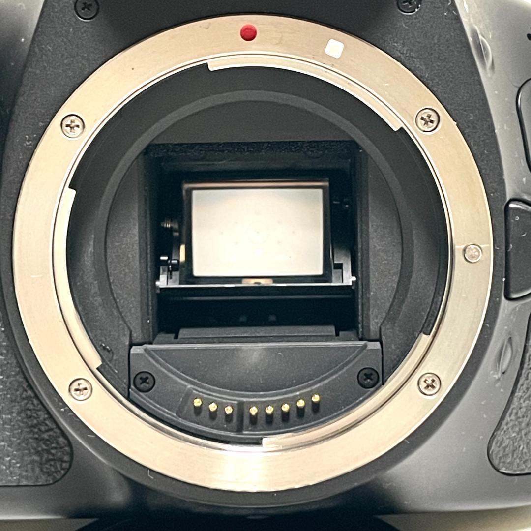 バリアングルモニタ❣️ Canon EOS Kiss X5 標準レンズキット