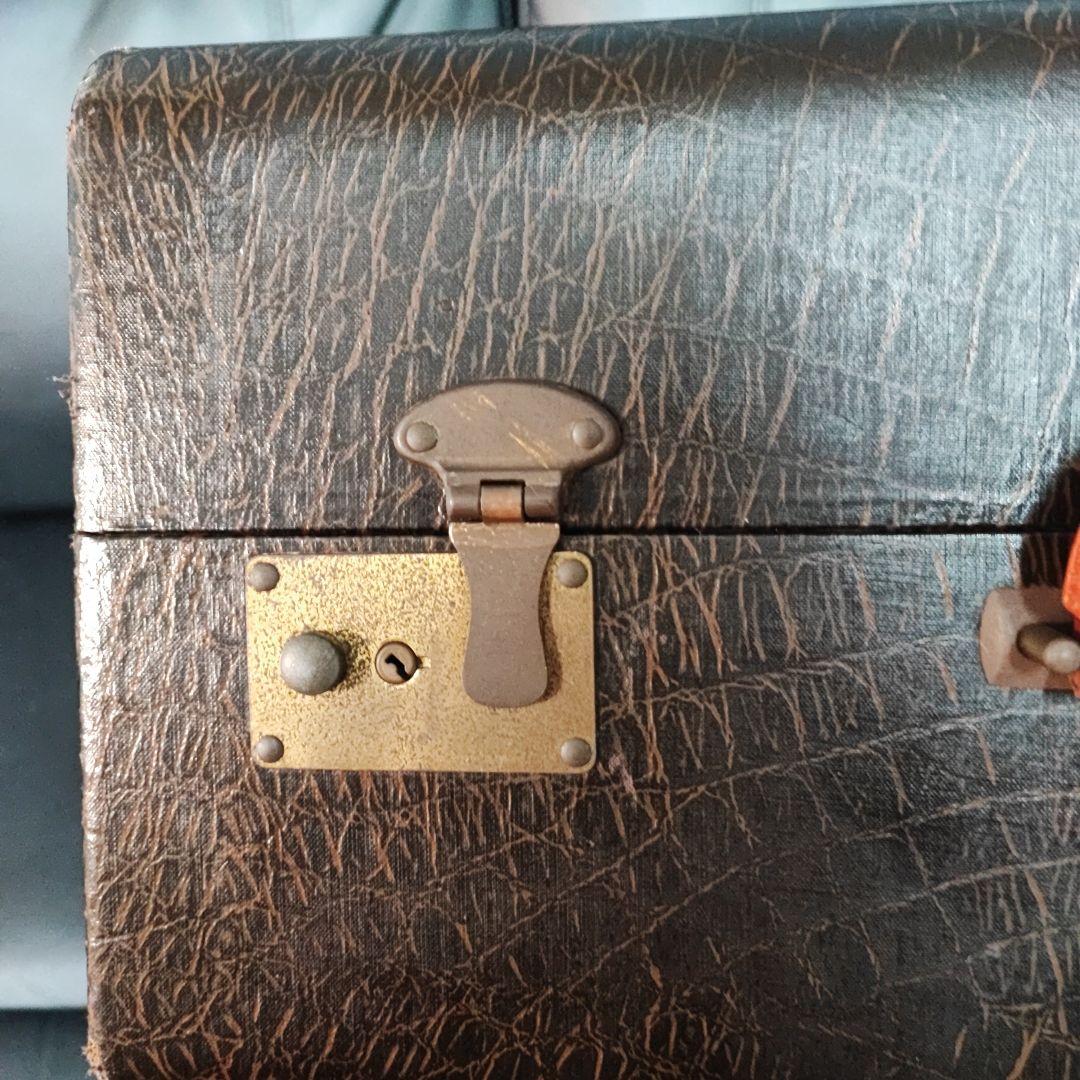 アコーディオンケース　ブラウン クロコダイルパターン 　イタリア製