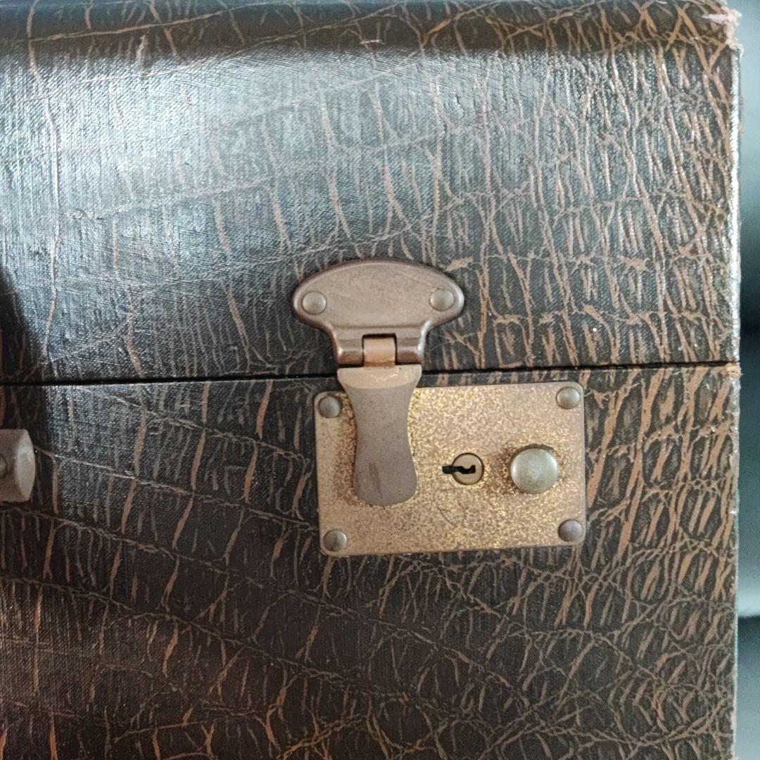 アコーディオンケース　ブラウン クロコダイルパターン 　イタリア製