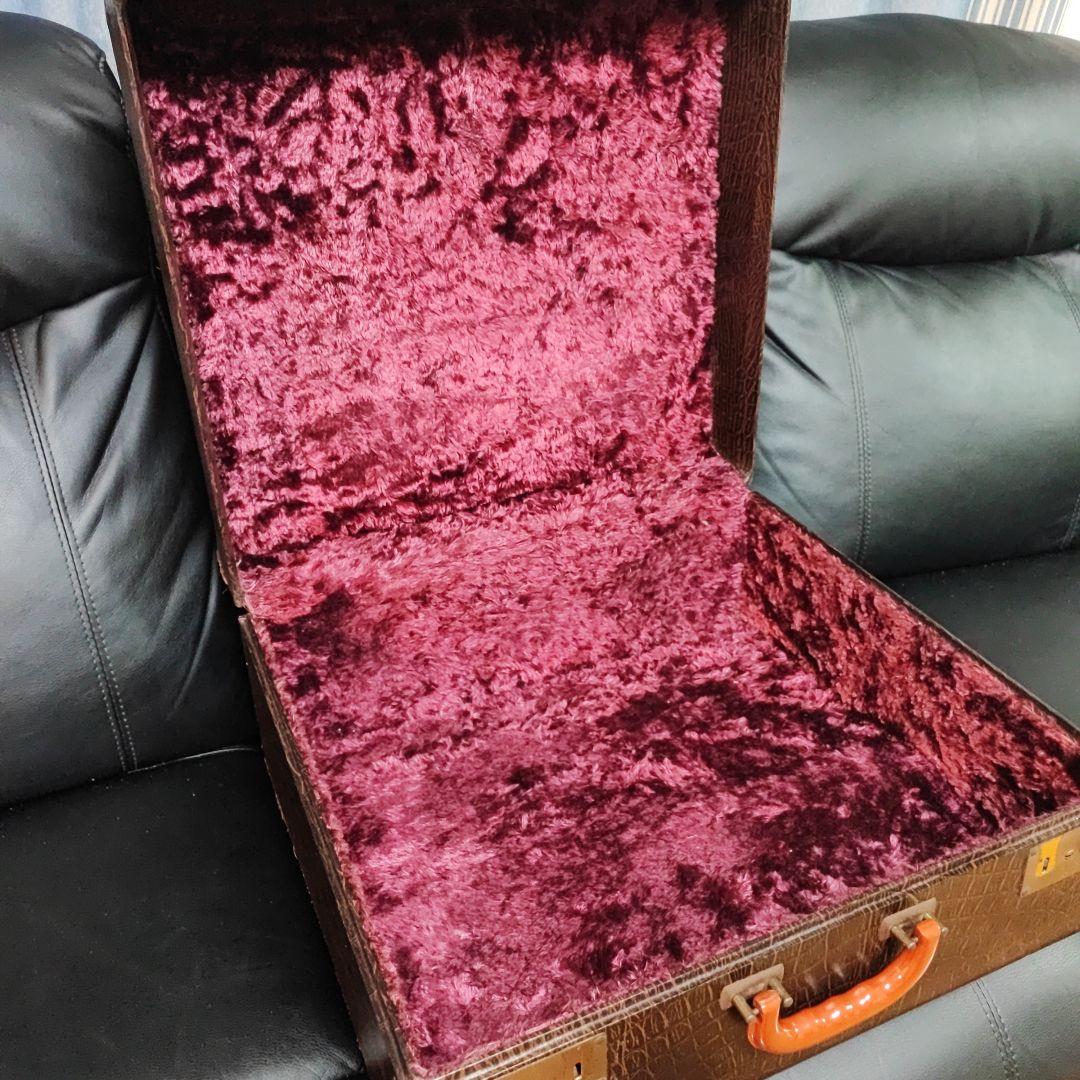 アコーディオンケース　ブラウン クロコダイルパターン 　イタリア製