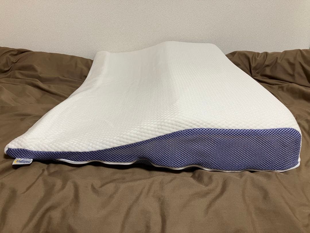 トゥルースリーパー　枕